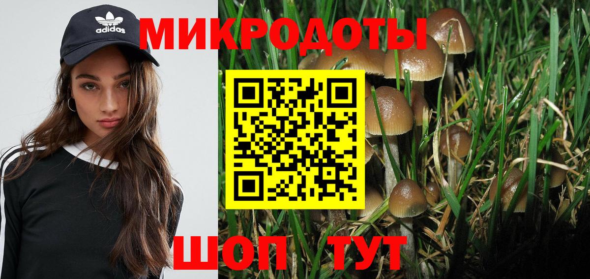 Сердобск  Галлюциногенные грибы Magic Shrooms  Вход с VPN  Галлюциногенные грибы ЛСД 